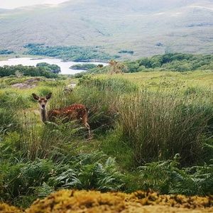 Meet your Posher, Rebeka